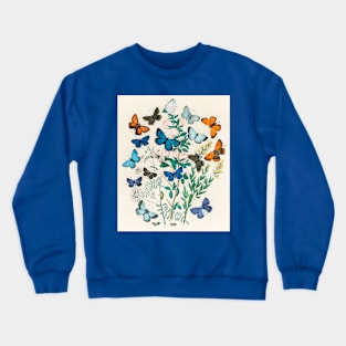 Butterfly Vintage Science Illustration Crewneck Sweatshirt